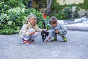 CONTACT WITH CATS IS USEFUL FOR AUTISTIC CHILDREN – RESEARCH
