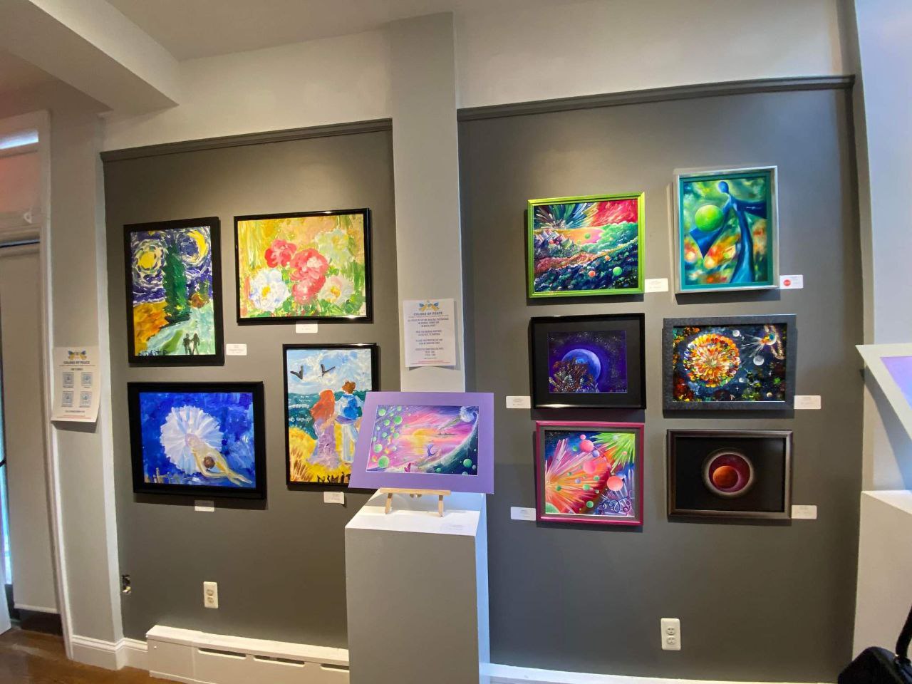 Картины «украинского Пикассо» впервые представлены за рубежом: в Бостоне (США) прошла благотворительная выставка «Colours of Peace» («Цвета Мира»)