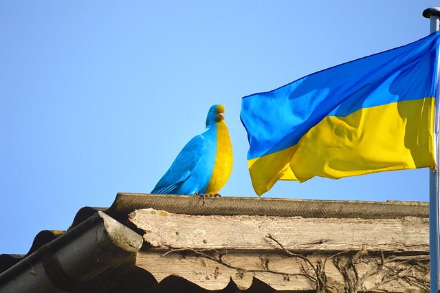 Мобілізація та ментальні порушення: все, що треба знати про виключення з обліку та відстрочку від мобілізації (оновлено)