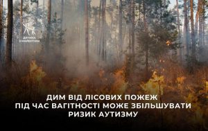 Лісові пожежі під час вагітності можуть збільшувати ризик аутизму у дитини